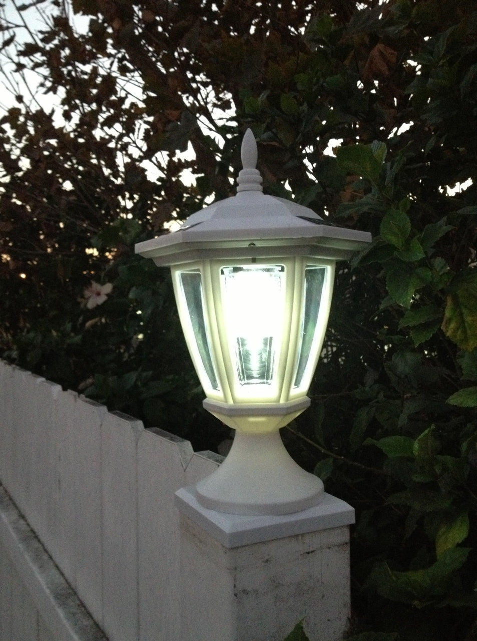 Set of 2, Solar Post/Wall Mounted Light